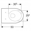 Sanita suspensa de fundo profundo iCon, forma fechada T»53cm, branco, Geberit 204000000